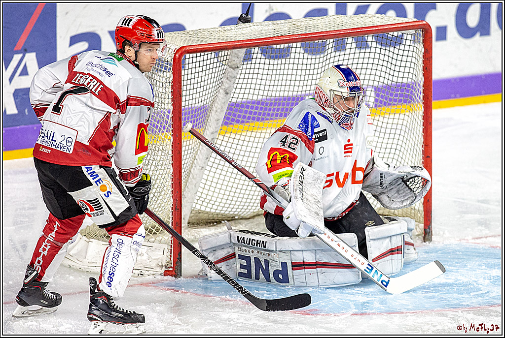 DEL; Koelner Haie - Fischtown Pinguins Bremerhaven, 06.01.2019